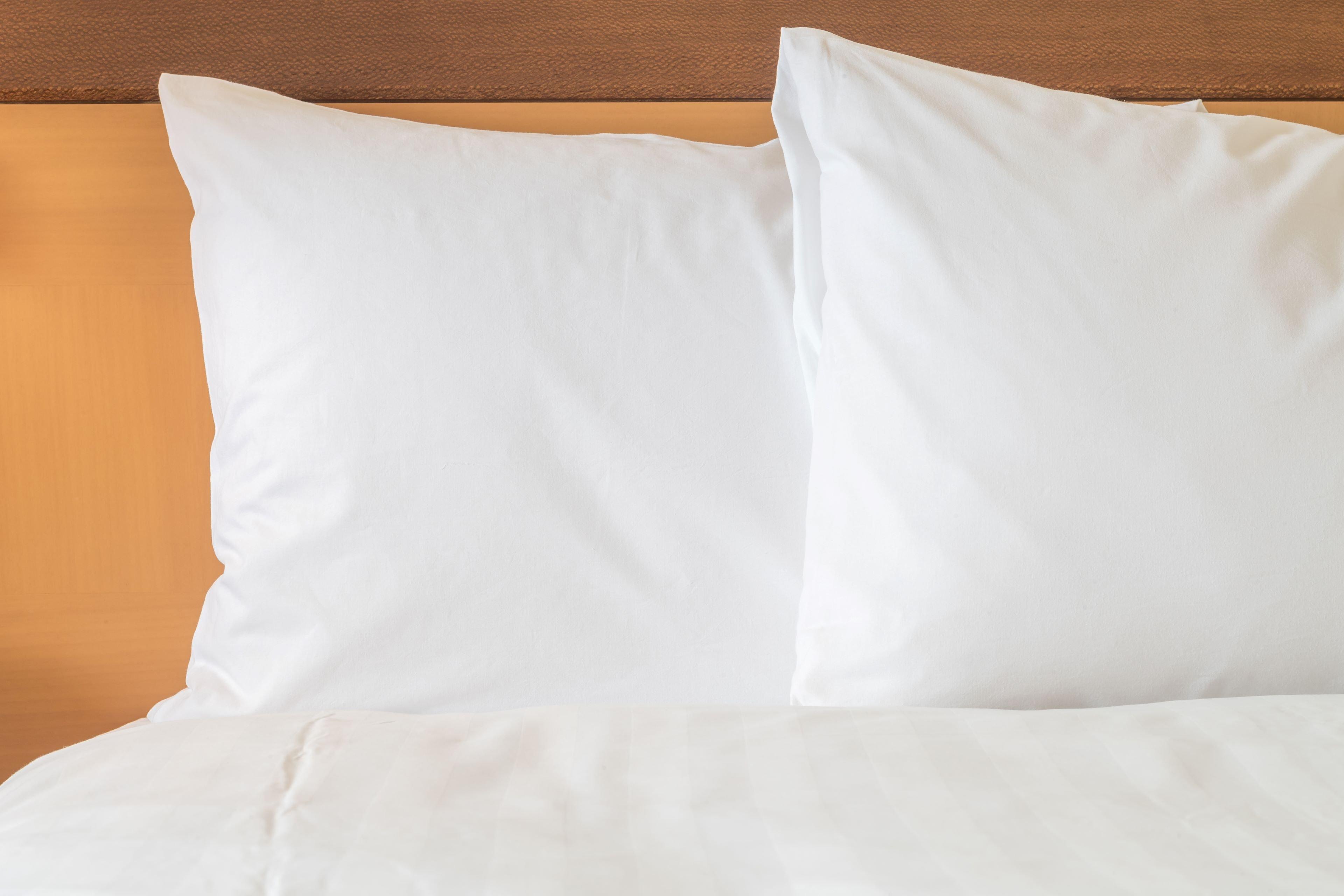 Holiday Inn Express & Suites Tavares By Ihg Buitenkant foto